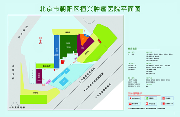 鸡逼操喷水北京市朝阳区桓兴肿瘤医院平面图